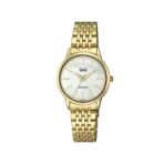 Reloj Q&Q  Q01A-002PY