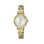 Reloj Q&Q QZ89J001Y